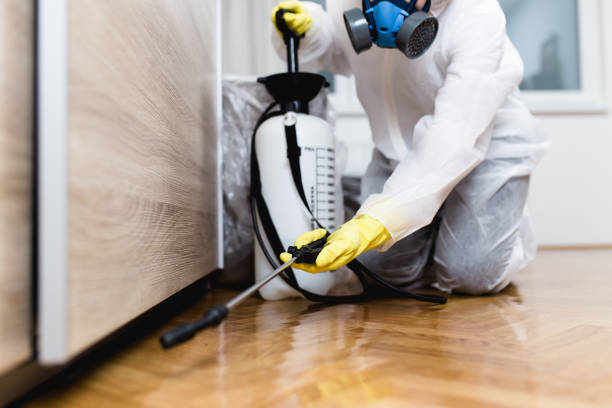 Best Mosquito Control Services  in Bohemia, NY