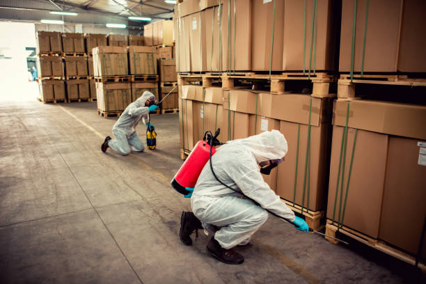 Best Wildlife Control Services  in Bohemia, NY