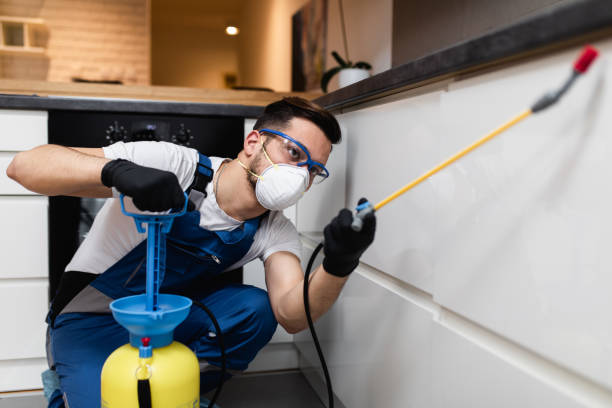 Best Best Pest Control Companies  in Bohemia, NY