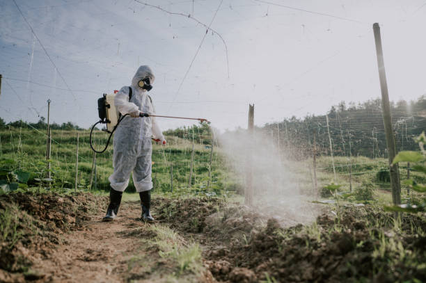 Best Pest Prevention Services  in Bohemia, NY