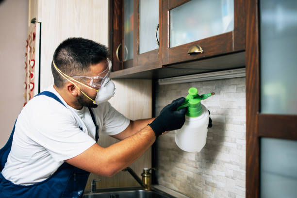 Best Commercial Pest Control Services  in Bohemia, NY
