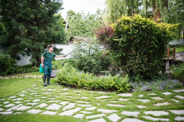 Best Pest Control Treatment  in Bohemia, NY