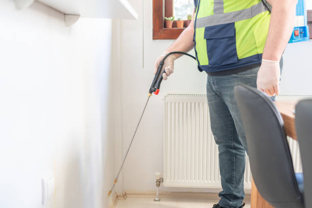 Best Pest Inspection Near Me  in Bohemia, NY