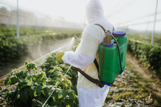 Professional Pest Control in Bohemia, NY